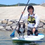 Thumbnail of related posts 187